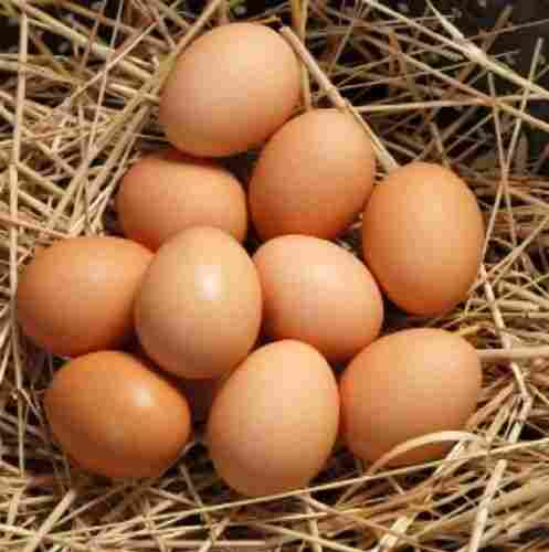 Calcium, Minerals And Vitamin D Enriched Brown Colour Egg