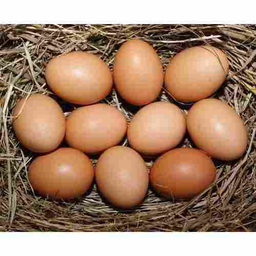 Calcium, Minerals And Vitamin D Enriched Farm Fresh Healthy Brown Colour Egg
