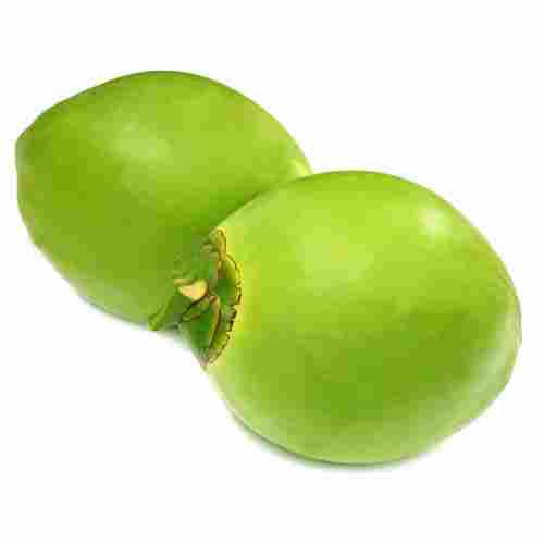 Good Source of Dietary Fiber and Rich in Antioxidants Tender Green Colour Coconut 