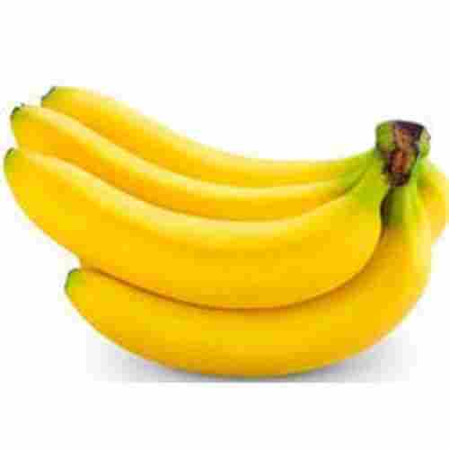 Great Source of Potassium and Fiber Sweet Yellow Colour Fresh Banana 