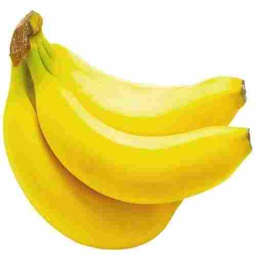 Hygienically Packed and Rich Nutritional Value B Grade Fresh Yellow Banana