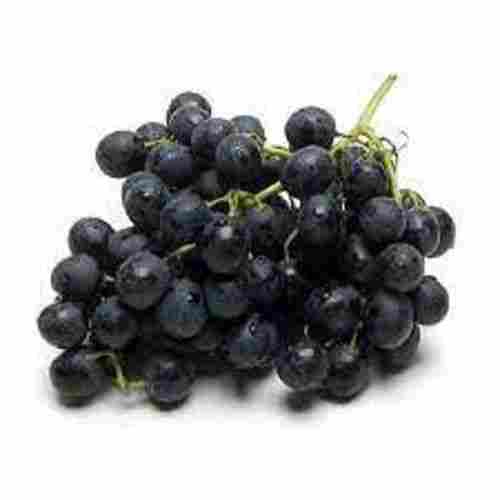 Black Color Fresh Grapes With 3 Days Shelf Life and Rich in Vitamin C, Potassium