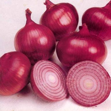 Natural Organic Fresh Red, Pink, Yellow And White Onion