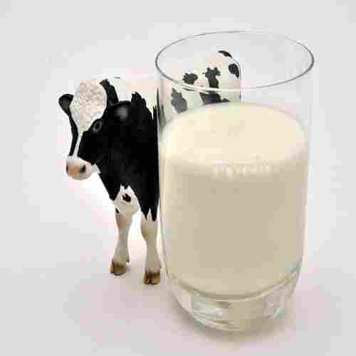 Natural And Fresh Cow Based Milk With 1-2 Days Shelf Life, Rich In Protein