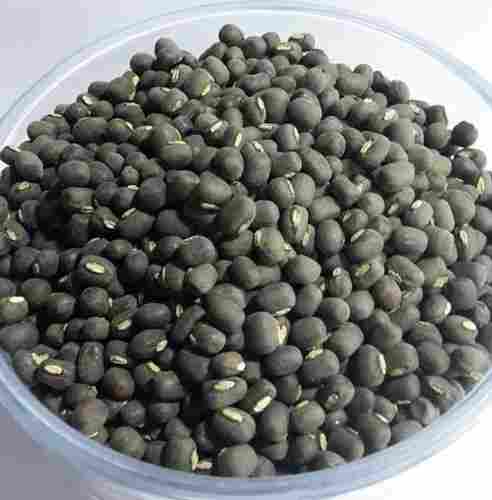 High In Protein Dhanyasri Black Round Whole Urad Dal, Packaging Size 25 Kg