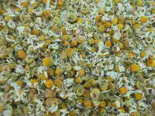 Excellent Fragrance Natural Dried Chamomile Flower For Many Human Ailments