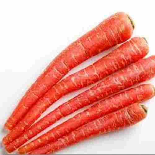100 Percent Natural Pure And Organic Fresh Red Color Carrot, And Rich In Vitamins A