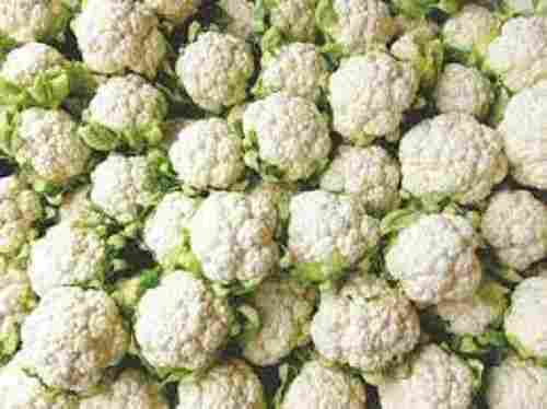 100 Percent Natural, Pure And Organic Fresh White And Green Color Cauliflower 