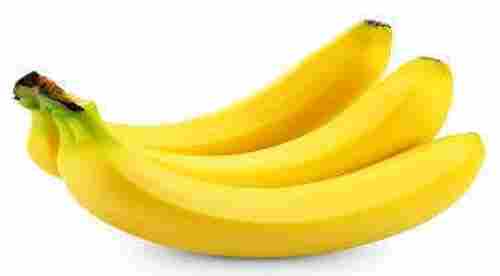 Good Source Of Potassium Dietary Fiber And Manganese Sweet Yellow Cavendish Banana