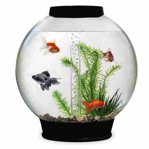 Transparent Round Glass Fish Bowl
