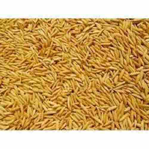 Free From Impurities Chemical Free Low Fat Organic Brown Paddy Seeds