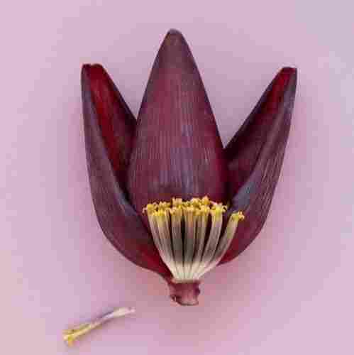 Purple Herbal Supplement Fresh Banana Flower For Ayurvedic And Traditional Chinese Medicine