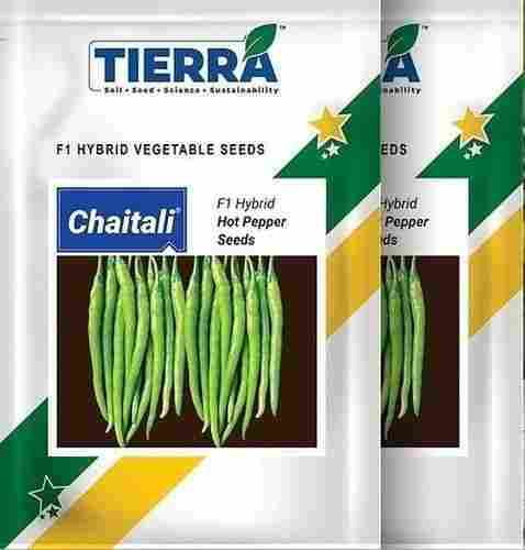 Hybrid Chaitali Hot Pepper Seeds Pack Of 10g For Agriculture Uses