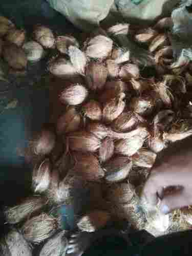 100% Natural And Organic Husked Fresh Coconut For Food And Worship Purpose