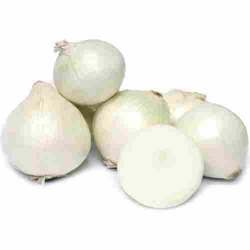 Fresh And Organic White Onion With 3 Days Shelf Life and Rich in Vitamain C