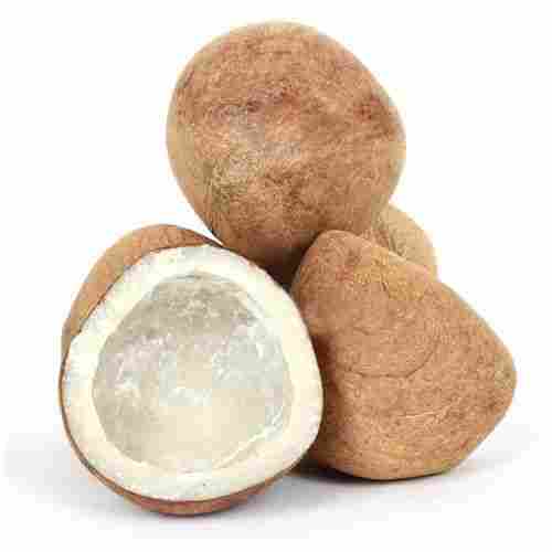 Organic B Grade Brown Color Dry Coconut, Great Source Of Dietary Fiber