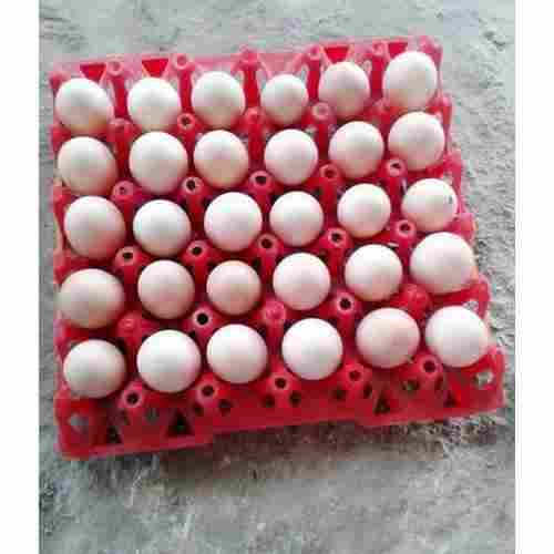 100 Percent Fresh And Good Quality Hatched Broiler Eggs In Trays Containing 36 Eggs