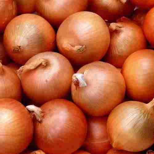 100 Percent Fresh And Pure High Grade Brown Onion With Contains Sulfur