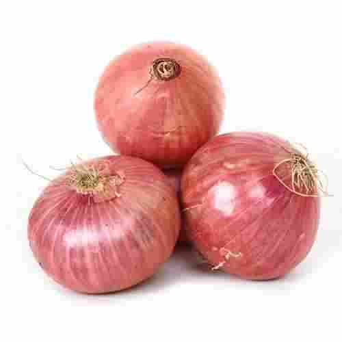 100 Percent Fresh, Pure And Natural Red Onion Round Shape With Manganese, Selenium