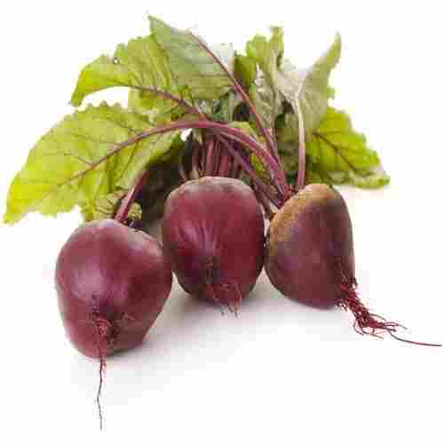 100 Percent Fresh And Healthy Red Beetroot With Good Source Of Fiber Or Vitamin