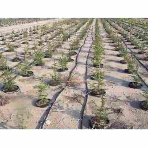 Black Drip Irrigation Plastic Pipe For Agriculture Use