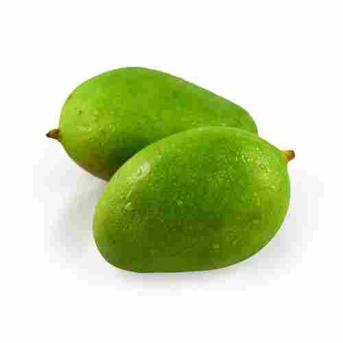 Fresh Green Raw Mango With Delicious Taste And 6 Days Shelf Life, Rich In Vitamin C