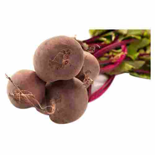 Handpicked, 100 Percent Pure, Natural and Hygienically Packed Fresh Red Beetroot