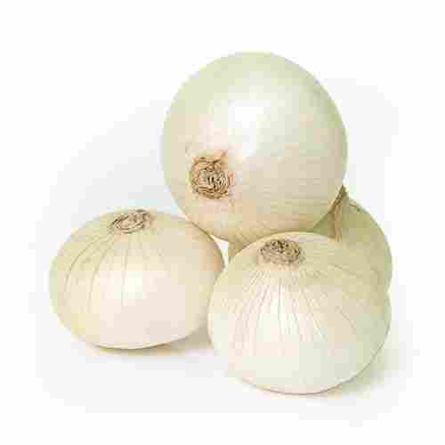 Perfectly Packed, Fresh, Hygienic and Naturally Grown White Onion Perfect for Overall Health