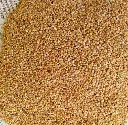 Cleaned, Processed and Hygienically Packed Unpolished High Dietary Fiber Cereal Kodo Millet 