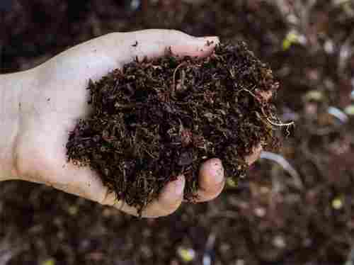 100% Granulised Form Of Organic Fertilizers And Manure For Agriculture Use