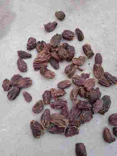 A-Grade Natural And Organic 100% Pure Fresh Dried Black Cardamom (Elaichi)