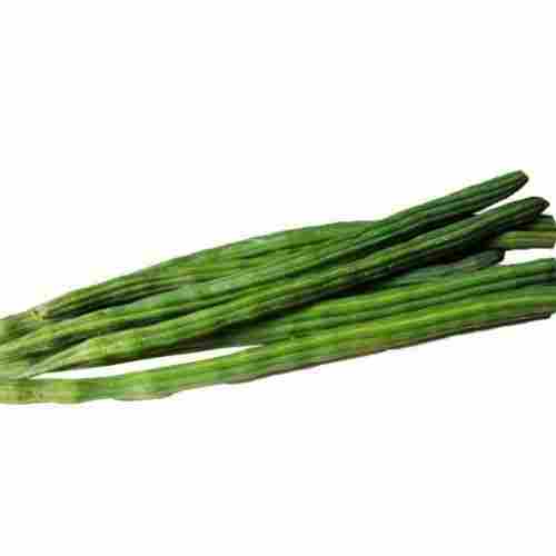 High Grade Fresh Green Drumstick With 3 Days Shelf Life And Rich In Protein