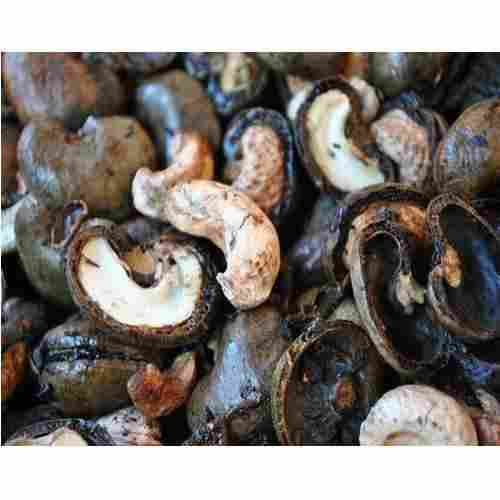 Monounsaturated Fats, Magnesium and Antioxidants Black Cashew Nut Shell
