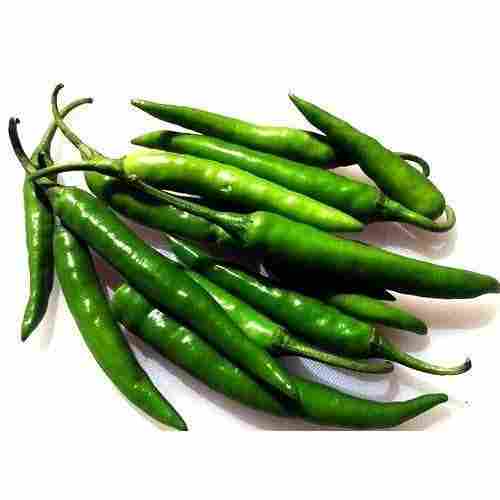 A Grade 100% Pure And Organic Fresh Green Chilli For Cooking