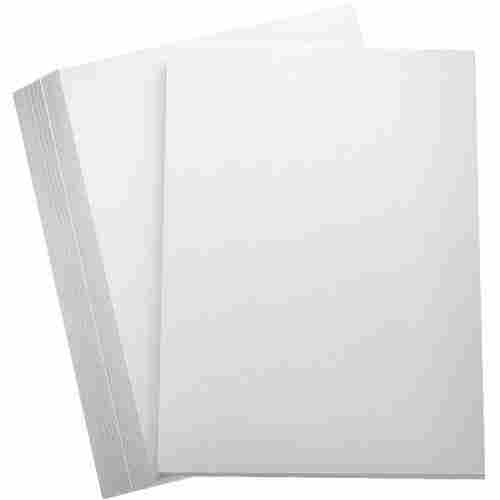 Biodegradable Wood-Pulp White Plain A4-Size Art Paper Sheet For Printing, Drawing And Writing