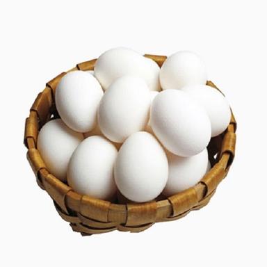 White And Poultry Chicken Fresh Egg Shelf Life: 5 Days