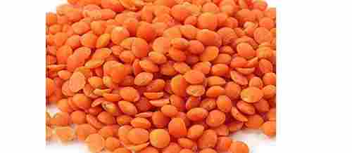 100 Percent Fresh And Organic Quality Red Masoor Dal High In Protein 1 Kg 