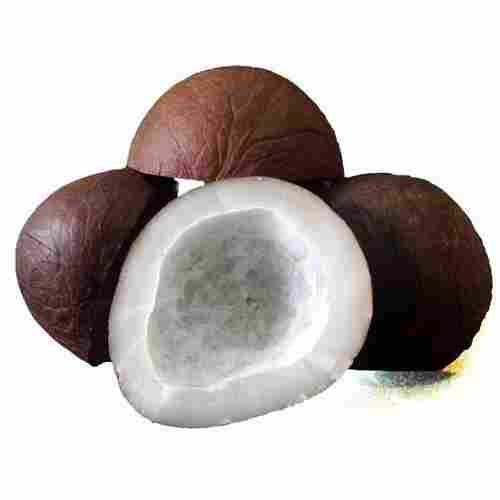 Brown and Dried Coconut With Rich in Dietary Fiber, Healthy Fats and Minerals