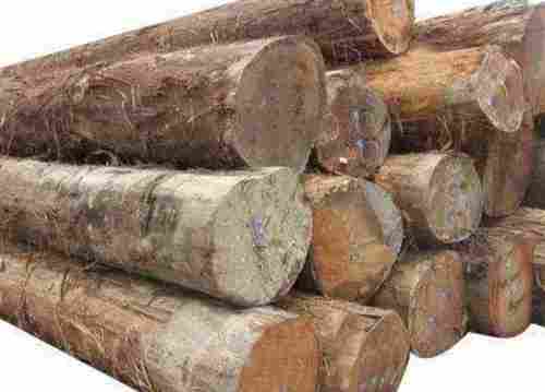 Harwood Type Pine Wood Timber Log For Construction, Round Shape