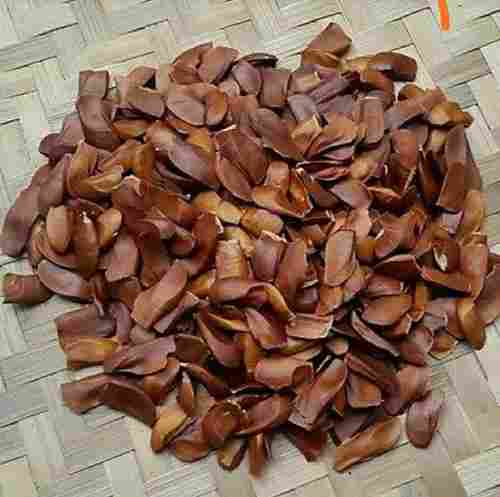 Natural Mahogany Tree Seeds With Dark Rich Color For Plantation