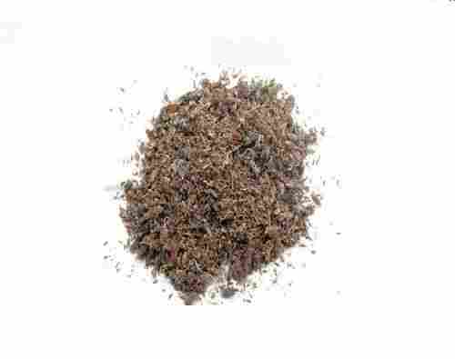 Natural Quality Brown Herbal Plant Ustukhuddus Herb Herbal Medicine