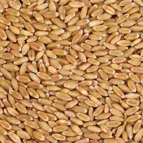100% Organic And Natural Gluten Free Wheat, Rich Source Of Fibre, Protein