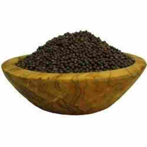 100 Percent Natural And Good Quality Black Mustard Seed With Fresh Seeds