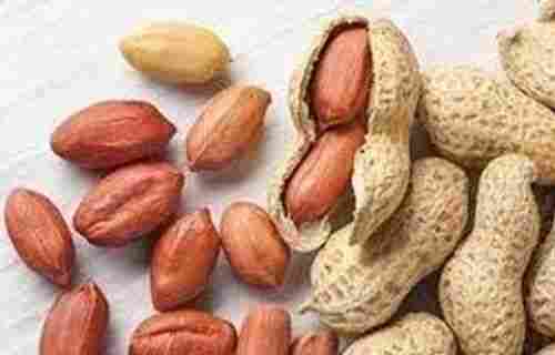 100% Pure Organic Dried Peanuts 