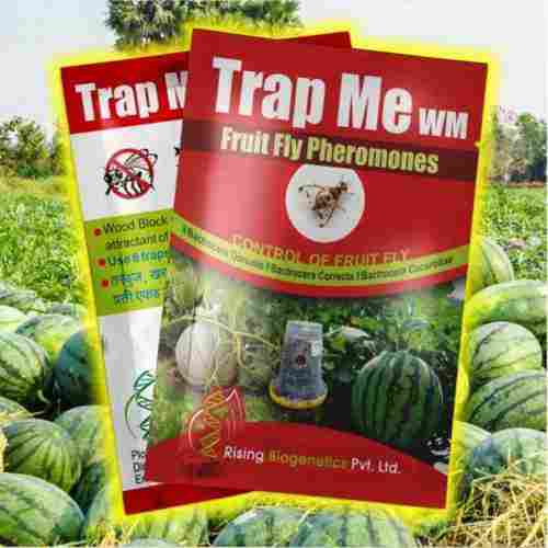 Pheromone Trap For Agriculture Usage For Fruit Fly Packed In Pouch Packaging