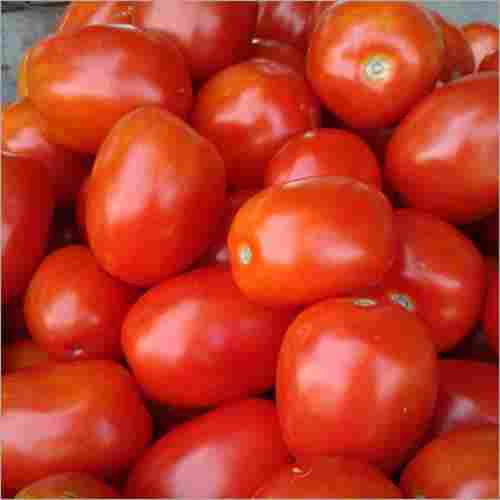 Red And Healthy Fresh Tomato, High In Dietary Fiber, Vitamin C, Potassium, Vitamin A And Manganese