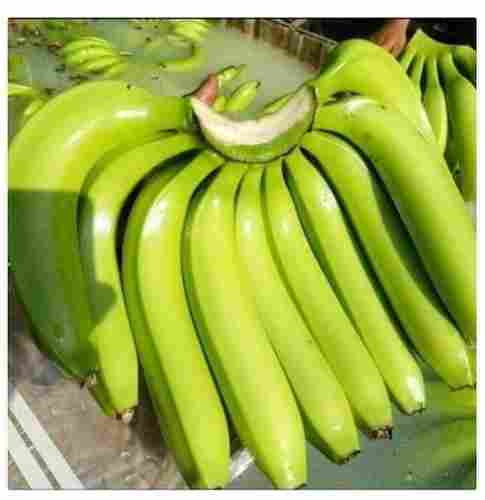 100 Percent Fresh And Pure 1 Kg Natural Green Banana Vegetable Good For Health