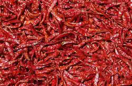  Best Quality And Very Spicy Dry Red Chili