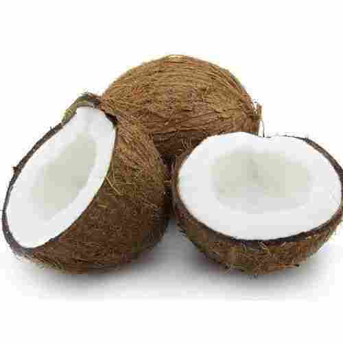 Good Source Of Thiamin, Niacin, Vitamin B6, Vitamin E and Magnesium 30 Kg B Grade Semi Husked Coconut