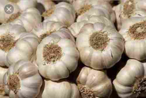 No Artificial Color Chemical Free Natural Rich Taste Healthy Organic White Fresh Garlic